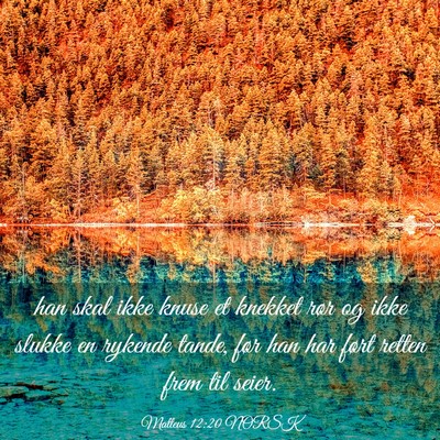 Picture 03 - Matteus 12:20 NORSK - han skal ikke knuse et knekket rør og ikke - Bible Verse Picture