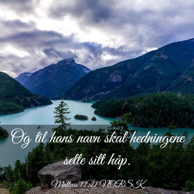 Picture 03 - Matteus 12:21 NORSK - Og til hans navn skal hedningene sette sitt - Bible Verse Picture