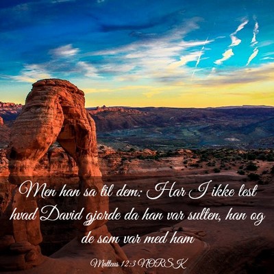 Picture 03 - Matteus 12:3 NORSK - Men han sa til dem: Har I ikke lest hvad David - Bible Verse Picture
