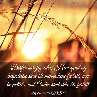 Picture 03 - Matteus 12:31 NORSK - Derfor sier jeg eder: Hver synd og bespottelse - Bible Verse Picture