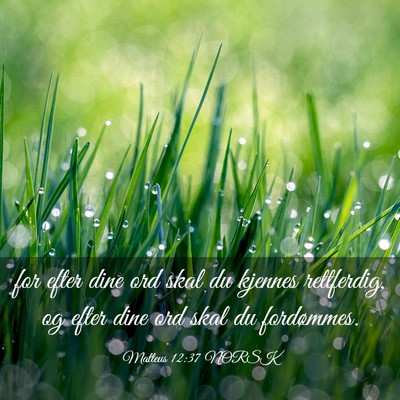 Picture 03 - Matteus 12:37 NORSK - for efter dine ord skal du kjennes rettferdig, og - Bible Verse Picture