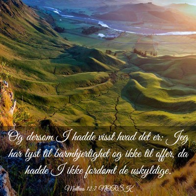 Picture 03 - Matteus 12:7 NORSK - Og dersom I hadde visst hvad det er: Jeg har lyst - Bible Verse Picture