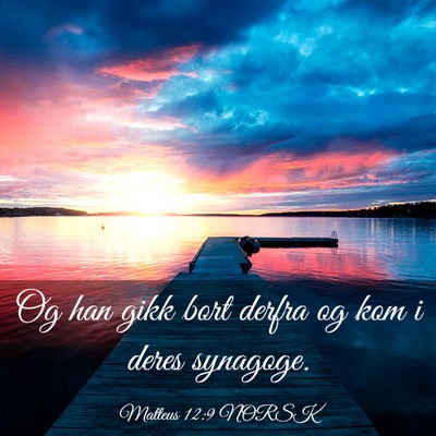 Picture 03 - Matteus 12:9 NORSK - Og han gikk bort derfra og kom i deres - Bible Verse Picture