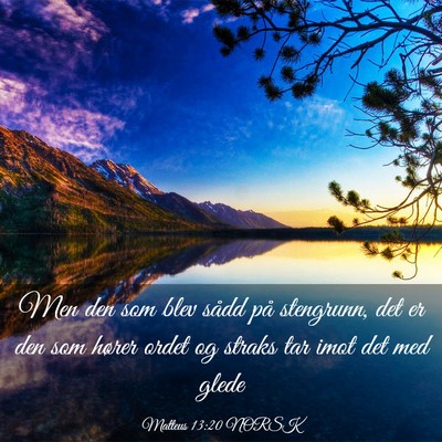 Picture 03 - Matteus 13:20 NORSK - Men den som blev sådd på stengrunn, det er den - Bible Verse Picture