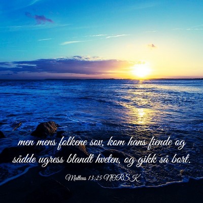 Picture 03 - Matteus 13:25 NORSK - men mens folkene sov, kom hans fiende og sådde - Bible Verse Picture