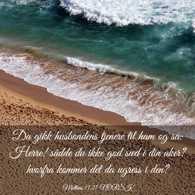 Picture 03 - Matteus 13:27 NORSK - Da gikk husbondens tjenere til ham og sa: Herre! - Bible Verse Picture