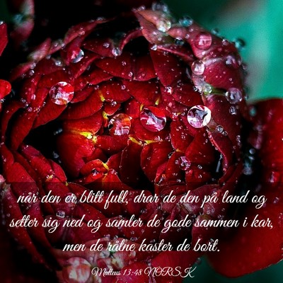 Picture 03 - Matteus 13:48 NORSK - når den er blitt full, drar de den på land og - Bible Verse Picture