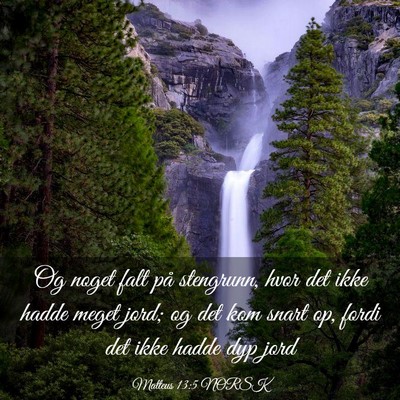 Picture 03 - Matteus 13:5 NORSK - Og noget falt på stengrunn, hvor det ikke hadde - Bible Verse Picture