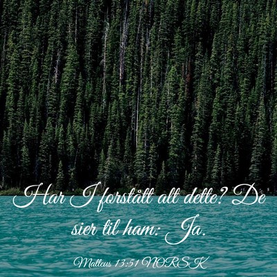 Picture 03 - Matteus 13:51 NORSK - Har I forstått alt dette? De sier til ham: - Bible Verse Picture