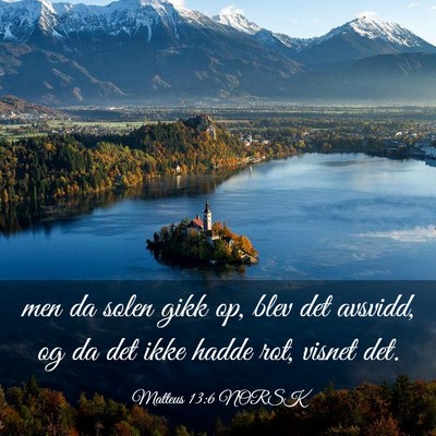 Picture 03 - Matteus 13:6 NORSK - men da solen gikk op, blev det avsvidd, og da det - Bible Verse Picture