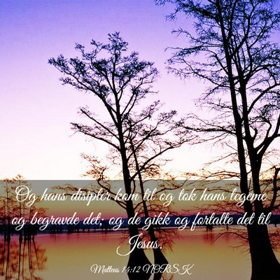 Picture 03 - Matteus 14:12 NORSK - Og hans disipler kom til og tok hans legeme og - Bible Verse Picture
