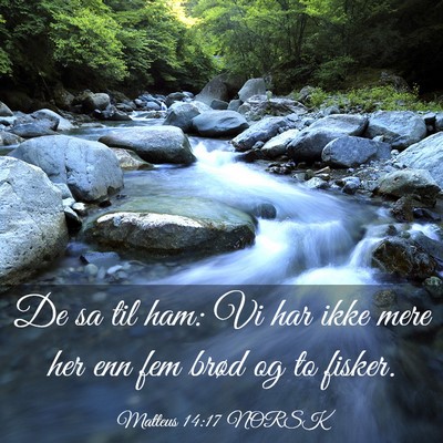 Picture 03 - Matteus 14:17 NORSK - De sa til ham: Vi har ikke mere her enn fem brød - Bible Verse Picture
