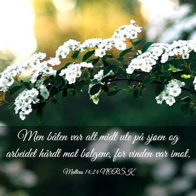 Picture 03 - Matteus 14:24 NORSK - Men båten var alt midt ute på sjøen og - Bible Verse Picture