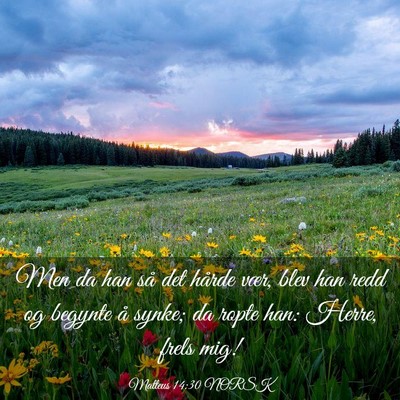 Picture 03 - Matteus 14:30 NORSK - Men da han så det hårde vær, blev han redd og - Bible Verse Picture