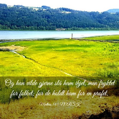 Picture 03 - Matteus 14:5 NORSK - Og han vilde gjerne slå ham ihjel, men fryktet - Bible Verse Picture