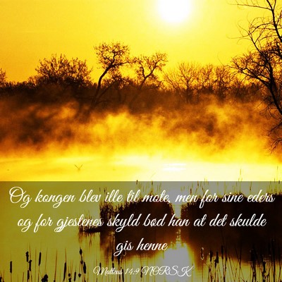 Picture 03 - Matteus 14:9 NORSK - Og kongen blev ille til mote, men for sine eders - Bible Verse Picture