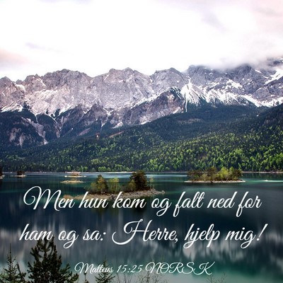 Picture 03 - Matteus 15:25 NORSK - Men hun kom og falt ned for ham og sa: Herre, - Bible Verse Picture