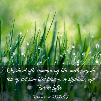 Picture 03 - Matteus 15:37 NORSK - Og de åt alle sammen og blev mette; og de tok op - Bible Verse Picture