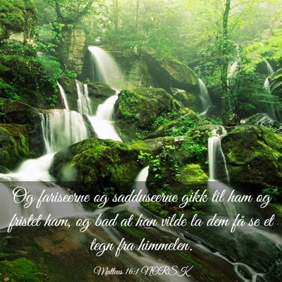 Picture 03 - Matteus 16:1 NORSK - Og fariseerne og sadduseerne gikk til ham og - Bible Verse Picture