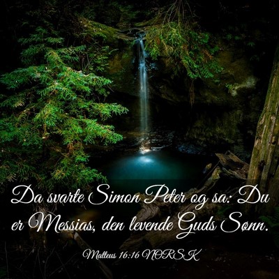Picture 03 - Matteus 16:16 NORSK - Da svarte Simon Peter og sa: Du er Messias, den - Bible Verse Picture