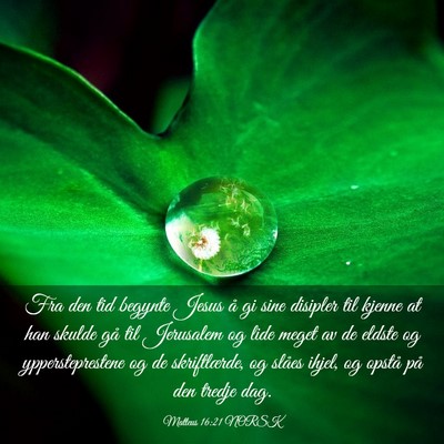 Picture 03 - Matteus 16:21 NORSK - Fra den tid begynte Jesus å gi sine disipler til - Bible Verse Picture