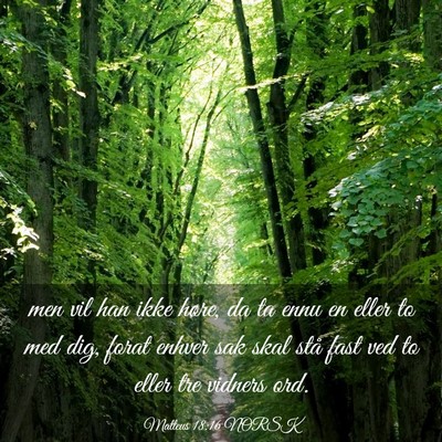 Picture 03 - Matteus 18:16 NORSK - men vil han ikke høre, da ta ennu en eller to - Bible Verse Picture