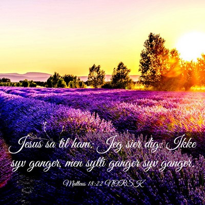 Picture 03 - Matteus 18:22 NORSK - Jesus sa til ham: Jeg sier dig: Ikke syv ganger, - Bible Verse Picture