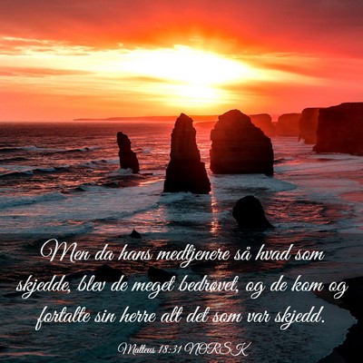 Picture 03 - Matteus 18:31 NORSK - Men da hans medtjenere så hvad som skjedde, blev - Bible Verse Picture