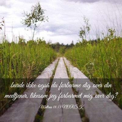 Picture 03 - Matteus 18:33 NORSK - burde ikke også du forbarme dig over din - Bible Verse Picture