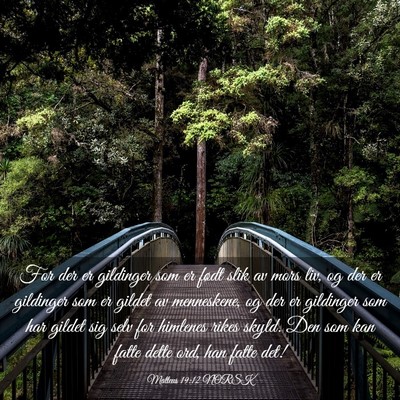 Picture 03 - Matteus 19:12 NORSK - For der er gildinger som er født slik av mors - Bible Verse Picture
