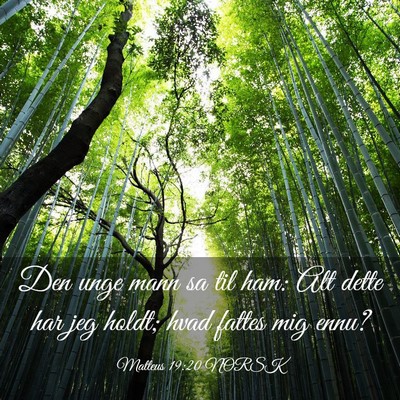 Picture 03 - Matteus 19:20 NORSK - Den unge mann sa til ham: Alt dette har jeg - Bible Verse Picture