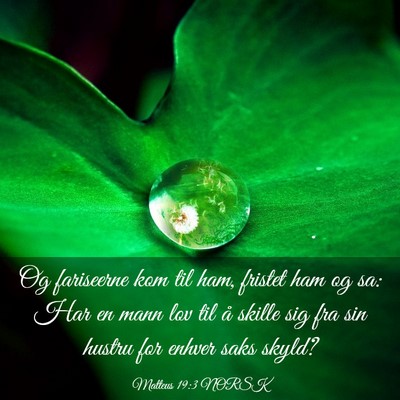 Picture 03 - Matteus 19:3 NORSK - Og fariseerne kom til ham, fristet ham og sa: Har - Bible Verse Picture