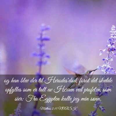 Picture 03 - Matteus 2:15 NORSK - og han blev der til Herodes'død, forat det - Bible Verse Picture