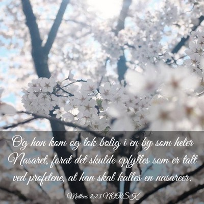 Picture 03 - Matteus 2:23 NORSK - Og han kom og tok bolig i en by som heter - Bible Verse Picture