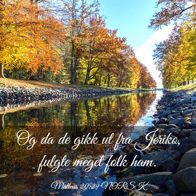 Picture 03 - Matteus 20:29 NORSK - Og da de gikk ut fra Jeriko, fulgte meget folk - Bible Verse Picture