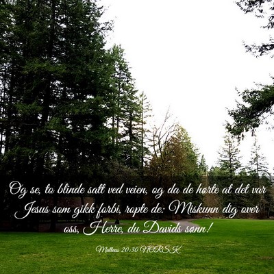 Picture 03 - Matteus 20:30 NORSK - Og se, to blinde satt ved veien, og da de hørte - Bible Verse Picture