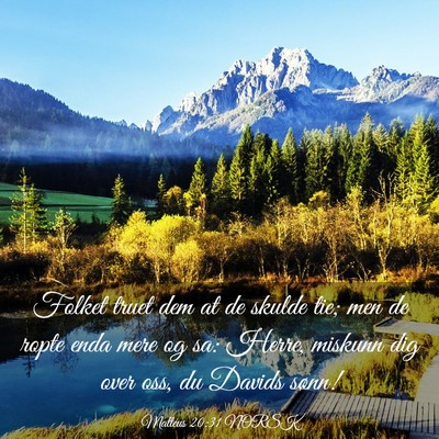 Picture 03 - Matteus 20:31 NORSK - Folket truet dem at de skulde tie; men de ropte - Bible Verse Picture