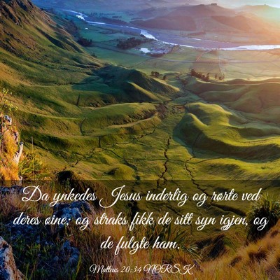 Picture 03 - Matteus 20:34 NORSK - Da ynkedes Jesus inderlig og rørte ved deres - Bible Verse Picture