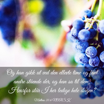 Picture 03 - Matteus 20:6 NORSK - Og han gikk ut ved den ellevte time og fant andre - Bible Verse Picture