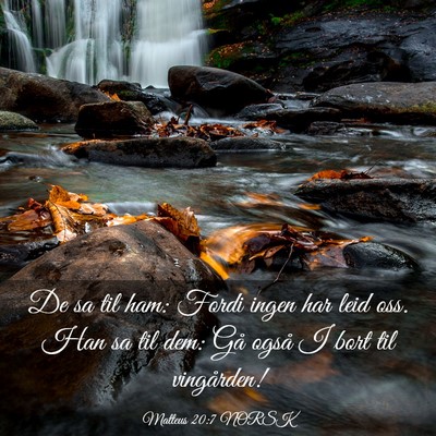 Picture 03 - Matteus 20:7 NORSK - De sa til ham: Fordi ingen har leid oss. Han sa - Bible Verse Picture