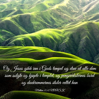 Picture 03 - Matteus 21:12 NORSK - Og Jesus gikk inn i Guds tempel og drev ut alle - Bible Verse Picture