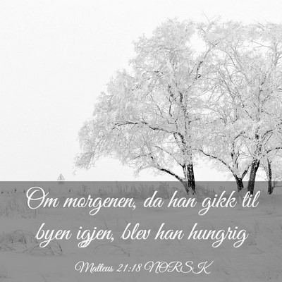 Picture 03 - Matteus 21:18 NORSK - Om morgenen, da han gikk til byen igjen, blev han - Bible Verse Picture