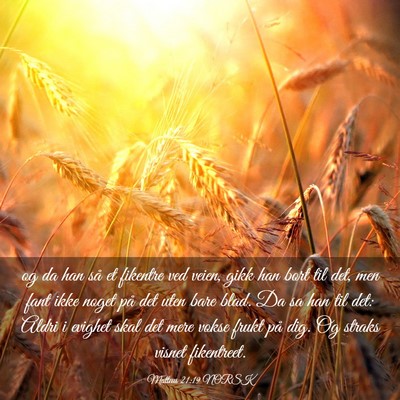 Picture 03 - Matteus 21:19 NORSK - og da han så et fikentre ved veien, gikk han - Bible Verse Picture