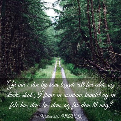 Picture 03 - Matteus 21:2 NORSK - Gå inn i den by som ligger rett for eder, og - Bible Verse Picture