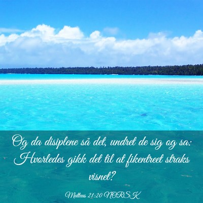 Picture 03 - Matteus 21:20 NORSK - Og da disiplene så det, undret de sig og sa: - Bible Verse Picture