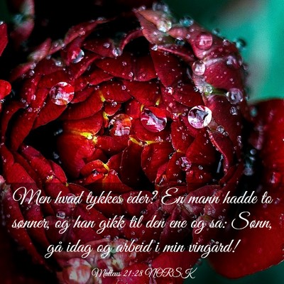 Picture 03 - Matteus 21:28 NORSK - Men hvad tykkes eder? En mann hadde to sønner, - Bible Verse Picture