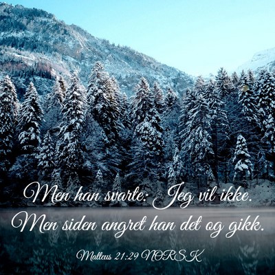 Picture 03 - Matteus 21:29 NORSK - Men han svarte: Jeg vil ikke. Men siden angret - Bible Verse Picture