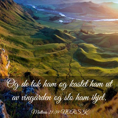 Picture 03 - Matteus 21:39 NORSK - Og de tok ham og kastet ham ut av vingården og - Bible Verse Picture
