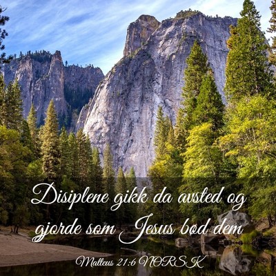 Picture 03 - Matteus 21:6 NORSK - Disiplene gikk da avsted og gjorde som Jesus bød - Bible Verse Picture