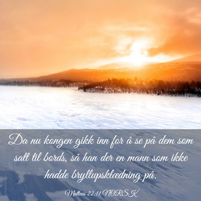 Picture 03 - Matteus 22:11 NORSK - Da nu kongen gikk inn for å se på dem som satt - Bible Verse Picture